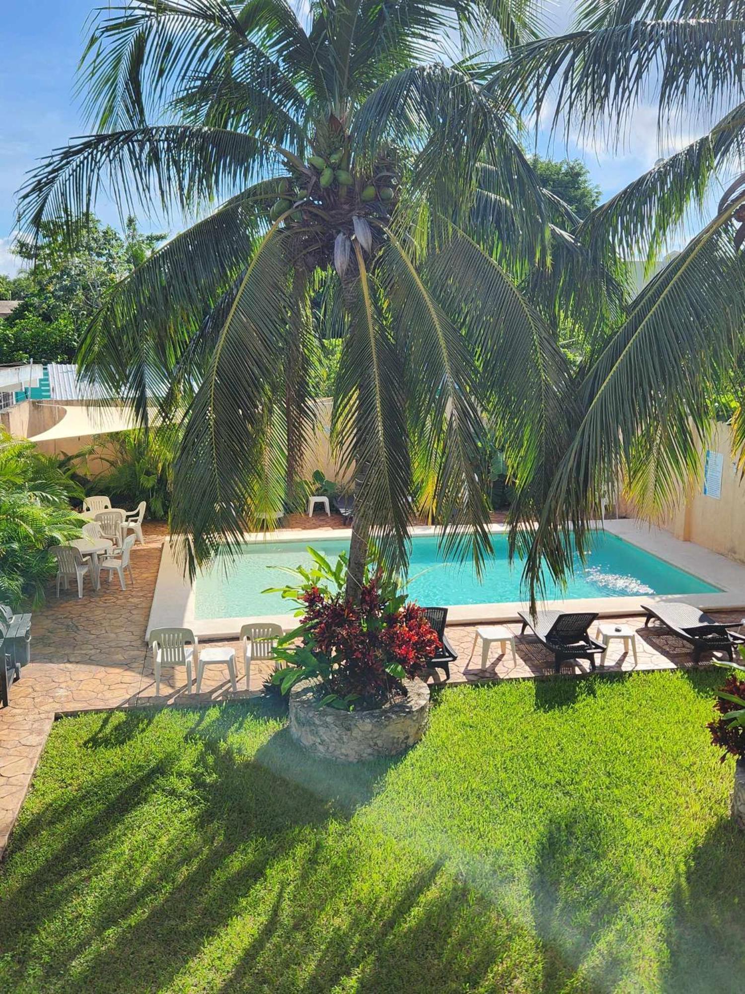Coral Island Suites Cozumel Exterior photo